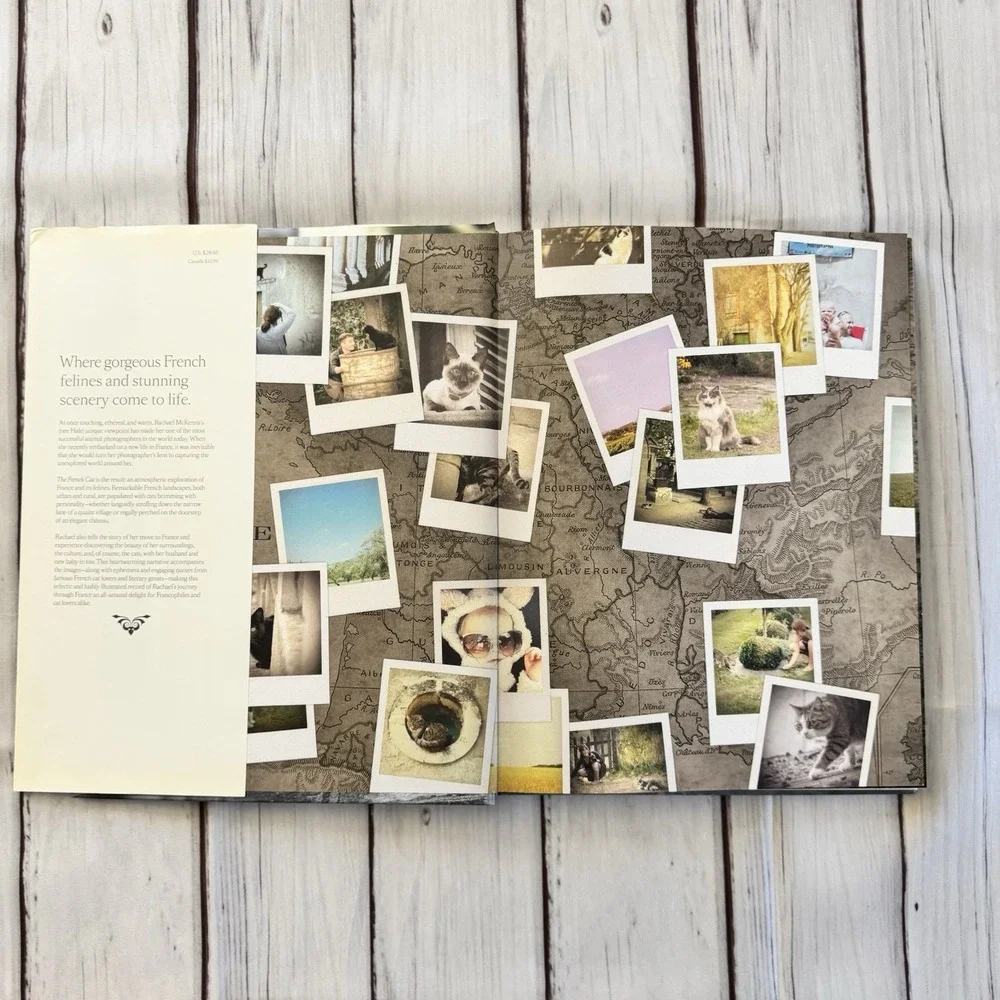 The‎ French Cat Photographs Rachael Hale McKenna Hardcover